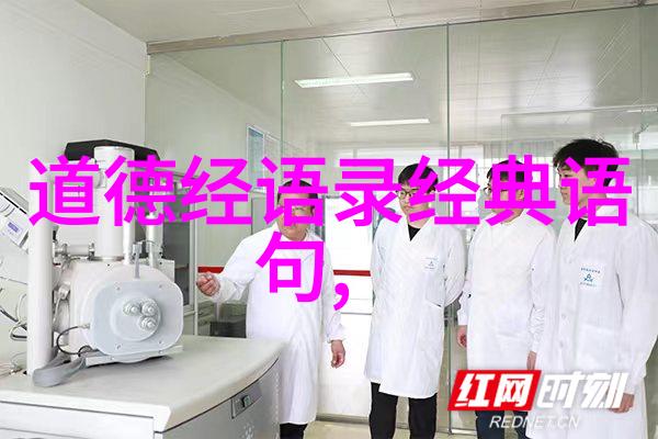 张岱年道家思想在现代社会的应用探讨