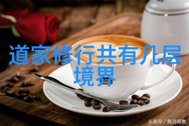 什么是悟天成又是怎样的存在