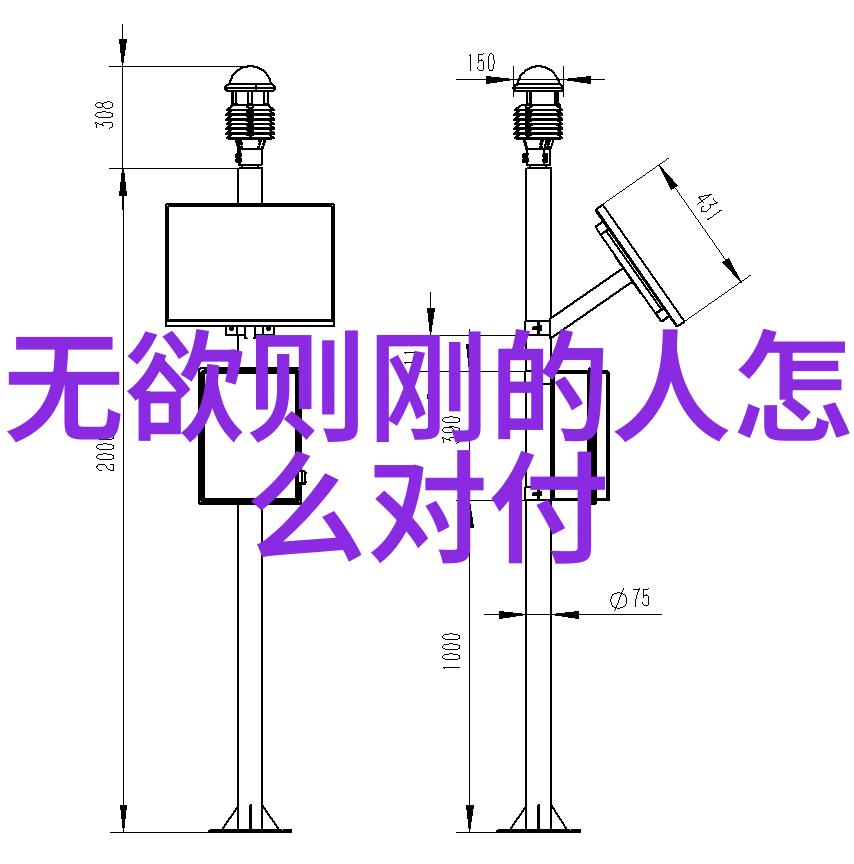 黄帝内经秘录千年修真之谜