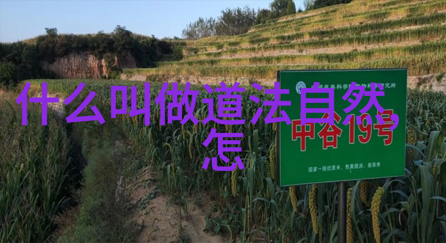 慈爱杯第十届公益作文竞赛正式启动