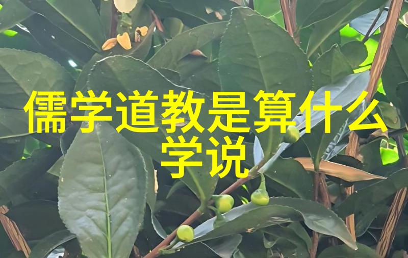 渺渺体育课夹按摩器的光阴追逐