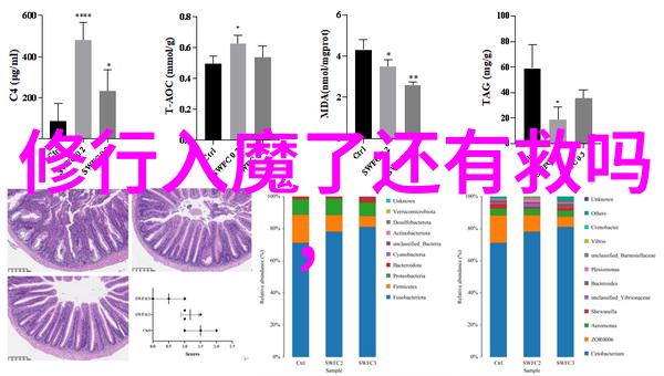 历世真仙体道通鑑卷之三十二自然中的儒释道代表人物探究