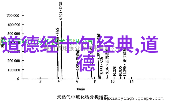 道德经智慧探索从天地到个人生命的哲学深度