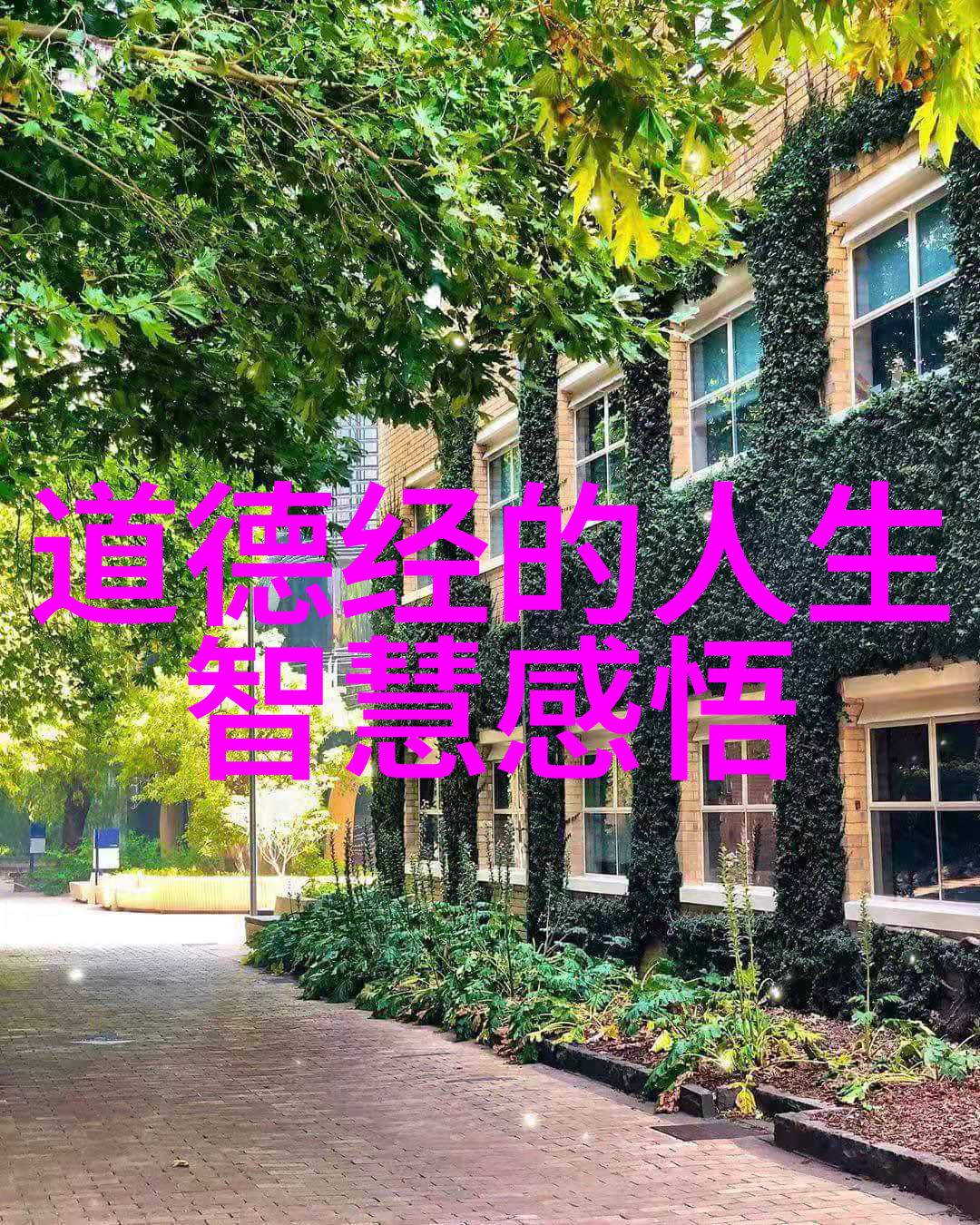 道法自然与老子的和谐共舞