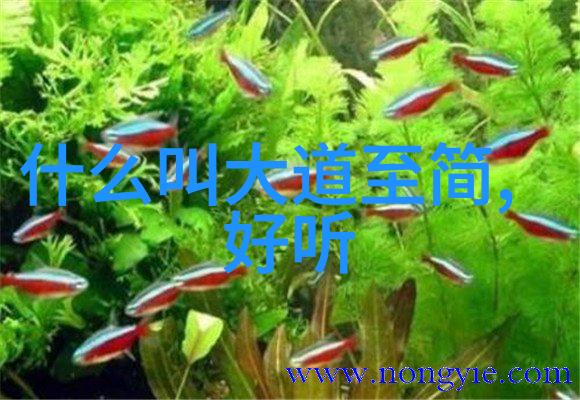 道教大师与他的奇幻炼丹机器