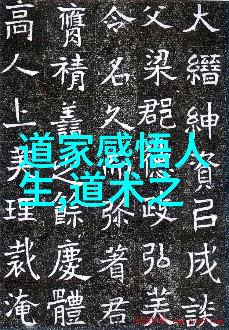 成语无欲则刚我是如何学到心如止水的法则的