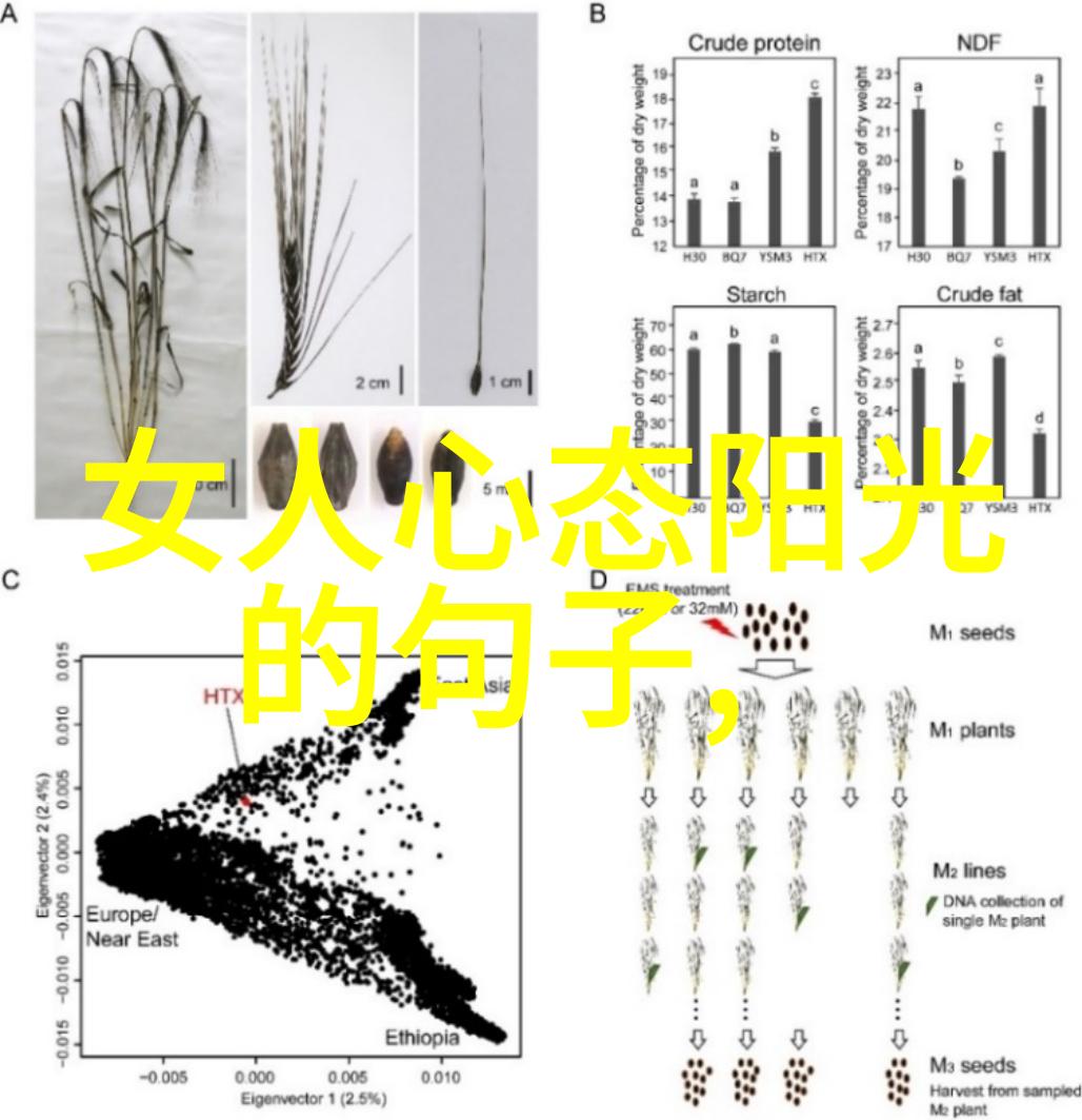 儒学大师-王阳明的道德立场与心学思想