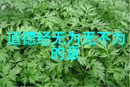 新婚娇妻陪局长出差我跟着老公去城市的荒凉边缘