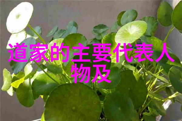 真言之谜念九字真的有那么危险吗