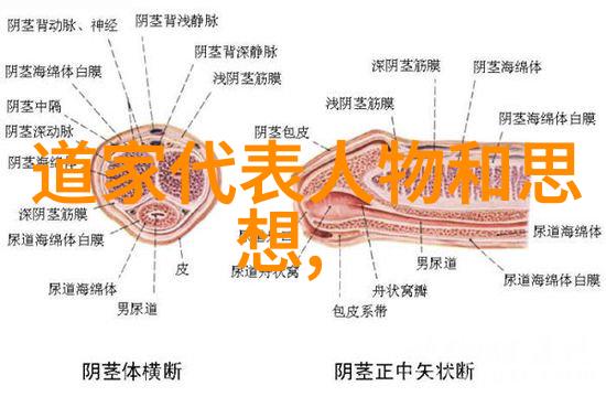 试探儿子想不想上我成功-父亲的成就与儿子的梦想试探与共鸣