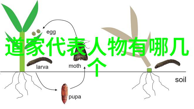 教育部门推出新课程体系融入修仙知识培养未来人才