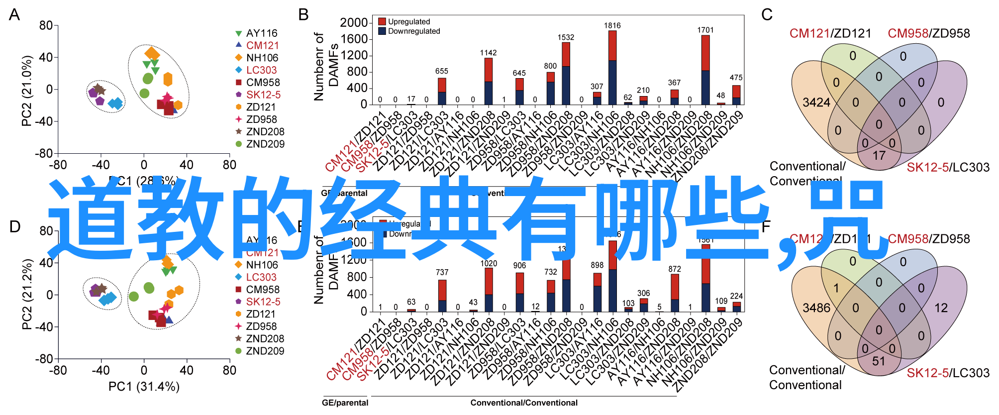 道法自然人生哲学十位道家圣人的精彩语录