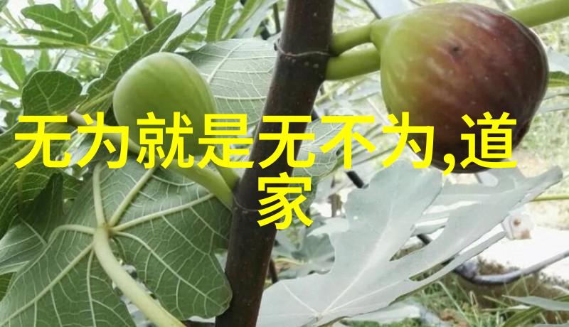 感情里的无欲则刚爱情中的坚守与放手