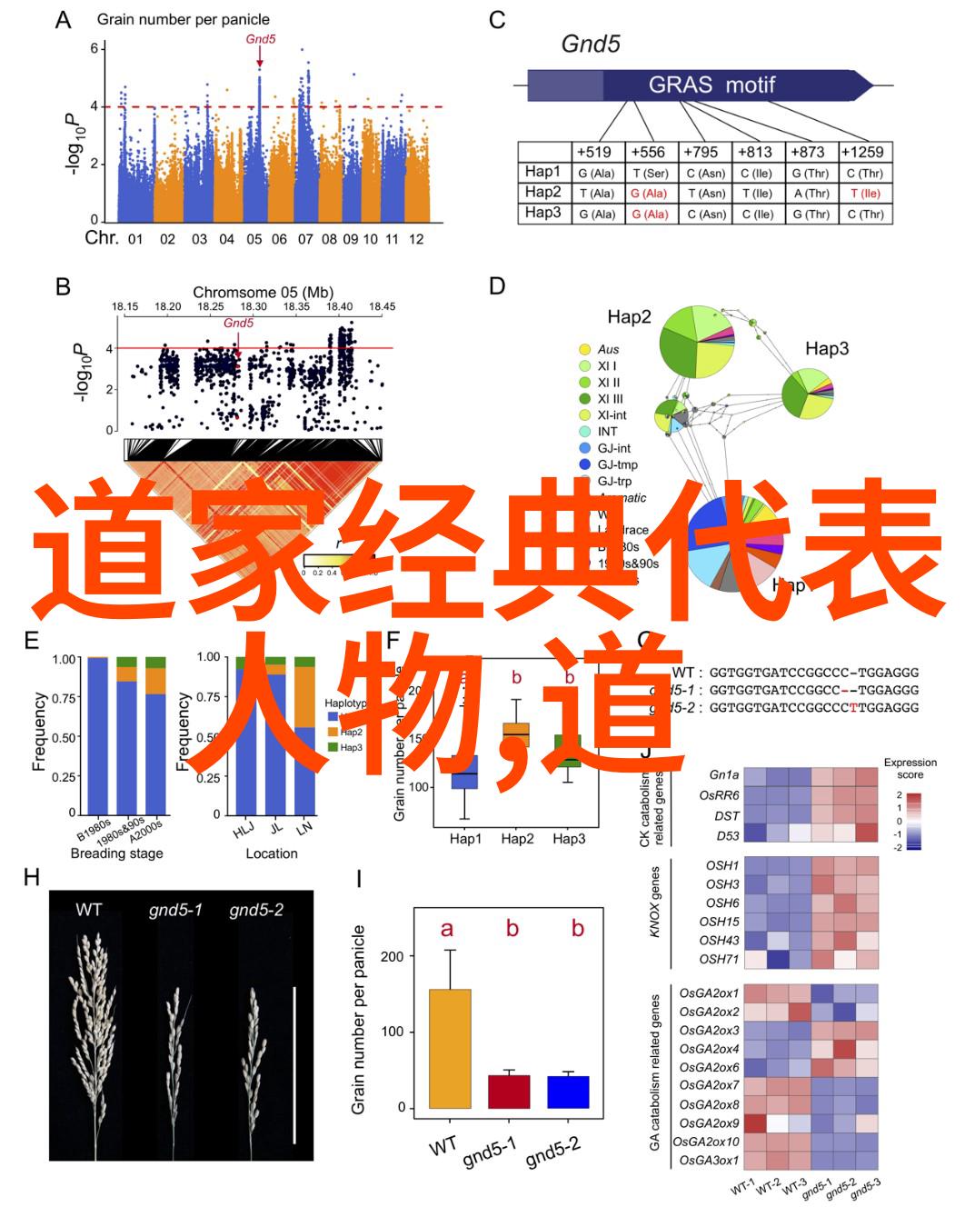 道术探秘-穿越千年当道士的修炼之路