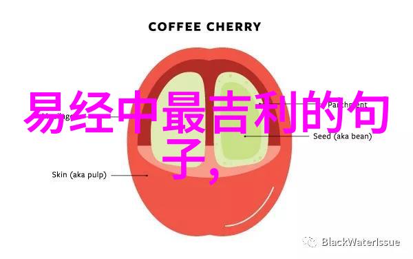 通往幸福生活的钥匙奇門遁甲入門基礎學視頻教程大全破解