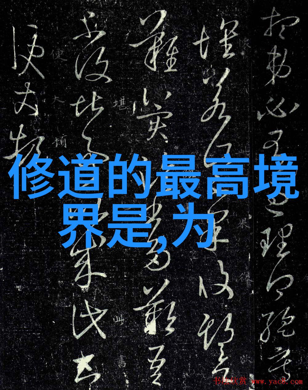 对于那些追求人生智慧的人来说道家传承人物提供了哪些宝贵经验教训