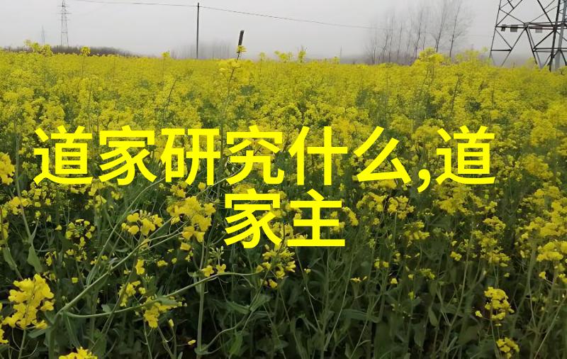 无为故无败智慧的真谛与生活的艺术