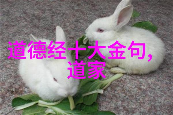 心灵的锤炼无欲则刚的智慧女士