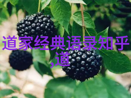 弘一法师的这句话对后世有何影响