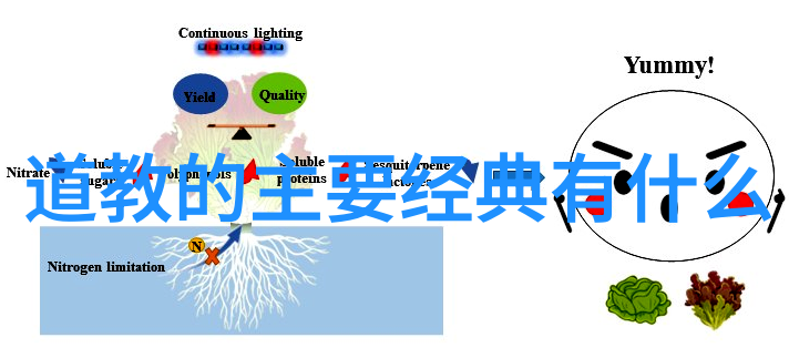 感情里的无欲则刚我心之坚从爱到释然