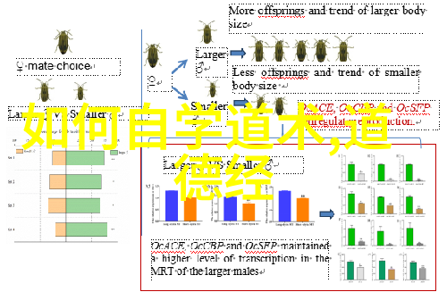 幸存者偏差揭秘人类生存的统计谜题