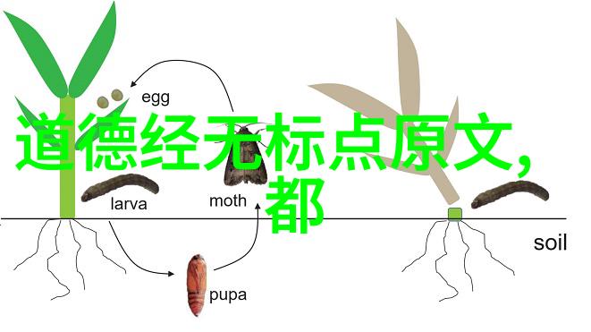 适合发朋友圈的佛系句子我是这样想的生活不用急时间自有其流转