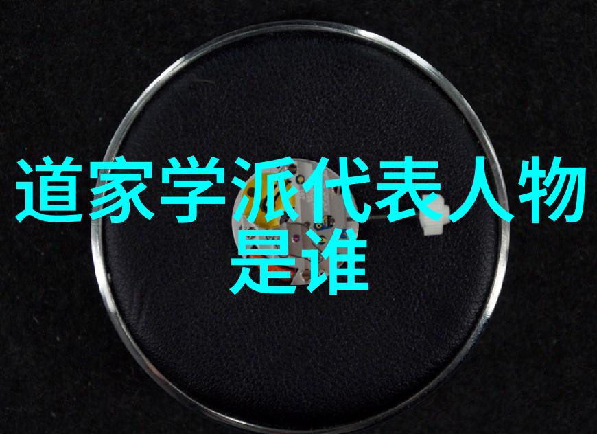 王新生谈近代日本社会变迁中的新宗教与对道教的认识