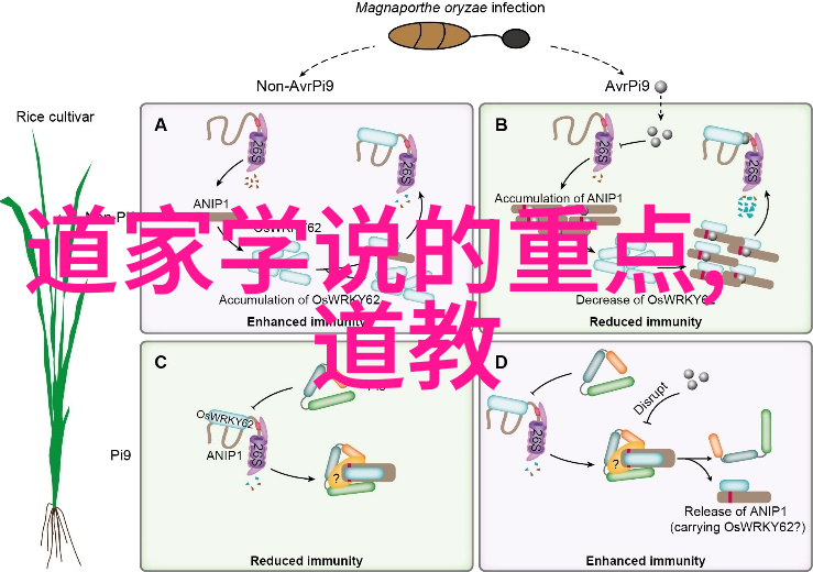 道教神仙排行榜揭秘上清宫廷与茅山阵营的权力游戏