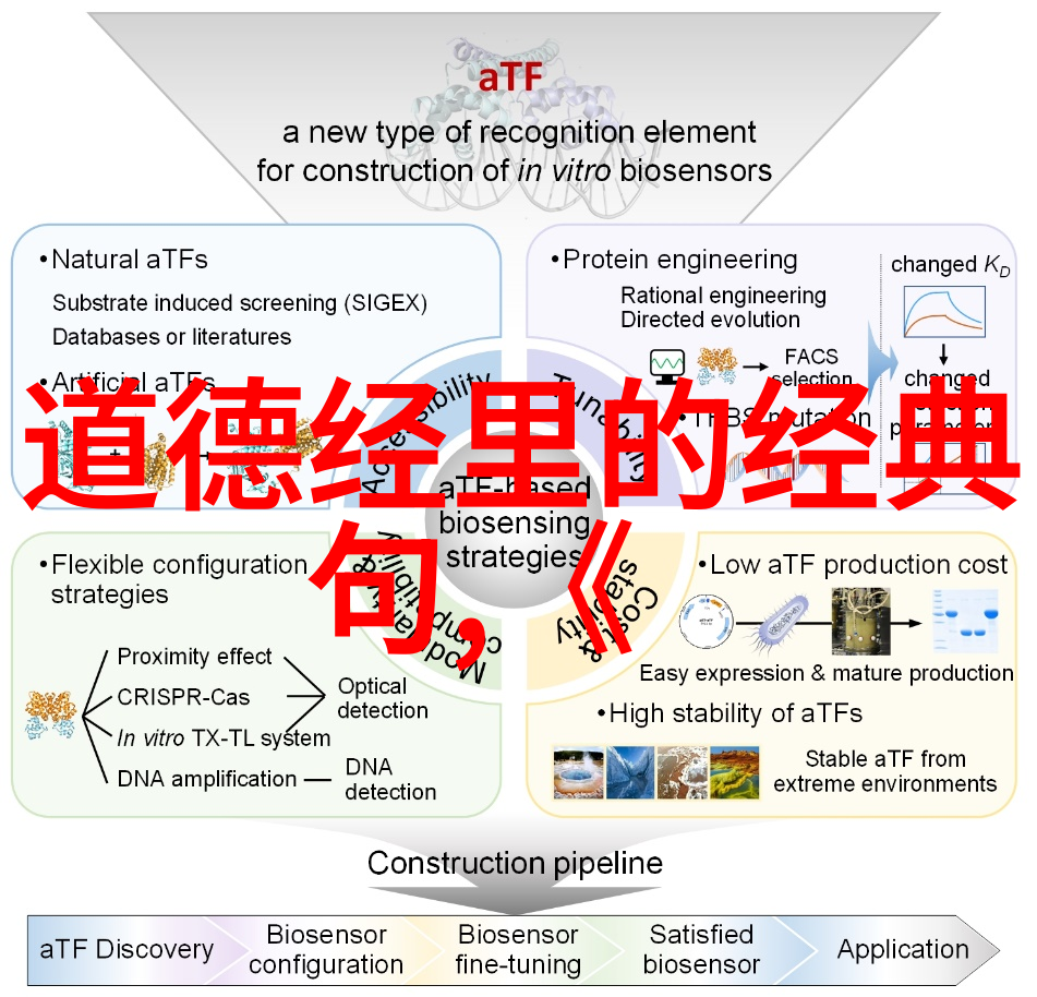 九个字改变命运念真言的风险与机遇