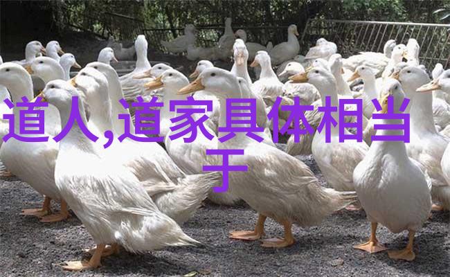 梵高十大名画揭秘他那些让人心动的作品