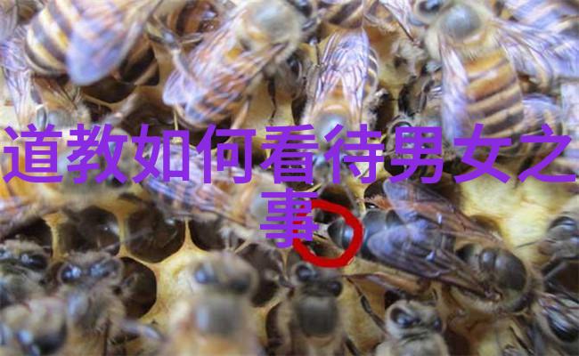 西华法师成玄英道教著名人物吗