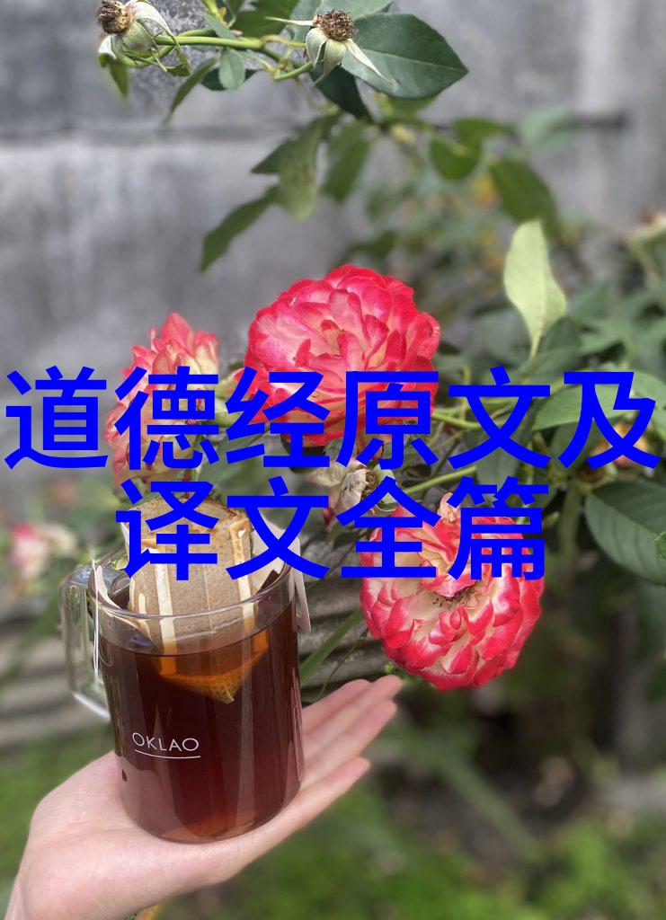 道德经智慧篇解读古典哲理的现代光芒