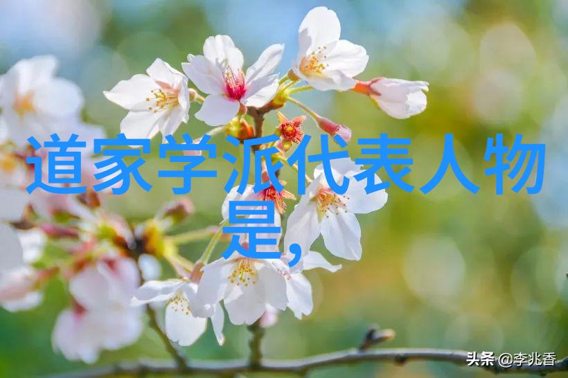 天师之巅孙思邈如何成为道教中医药学的代表人物