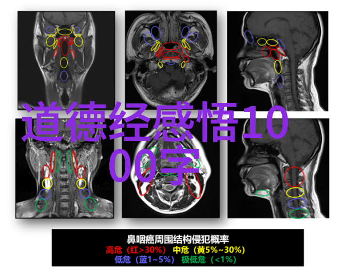 AI换脸奇遇白鹿被上的神秘视频解析