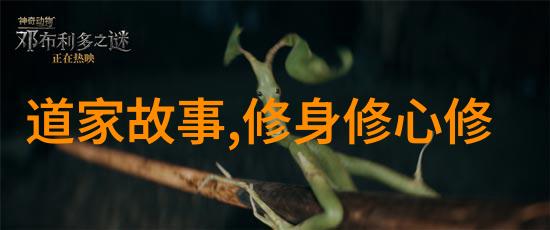 拼音为引哲学为本道德經的知识体系构建