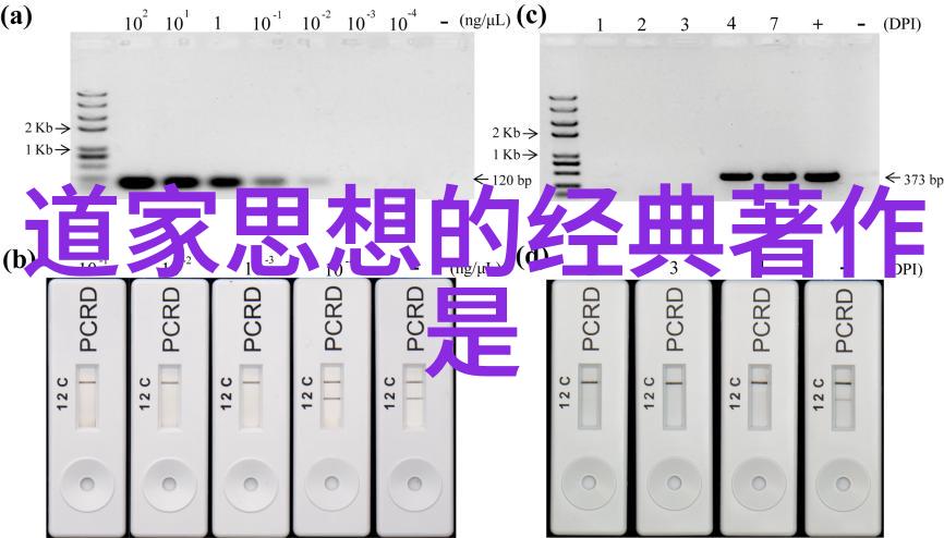 道家十大经典书籍之谜揭秘古代智慧的源泉