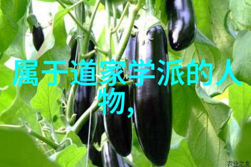 道德常理无为而治深入解析道德常理在无为而治中的作用与意义