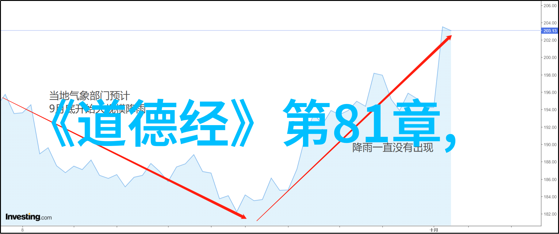 空杯子的智慧如何用几句话吸引更多点赞与评论