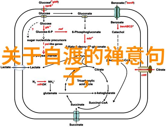 常无为而无不为是什么意思我是不是就像个散兵游勇