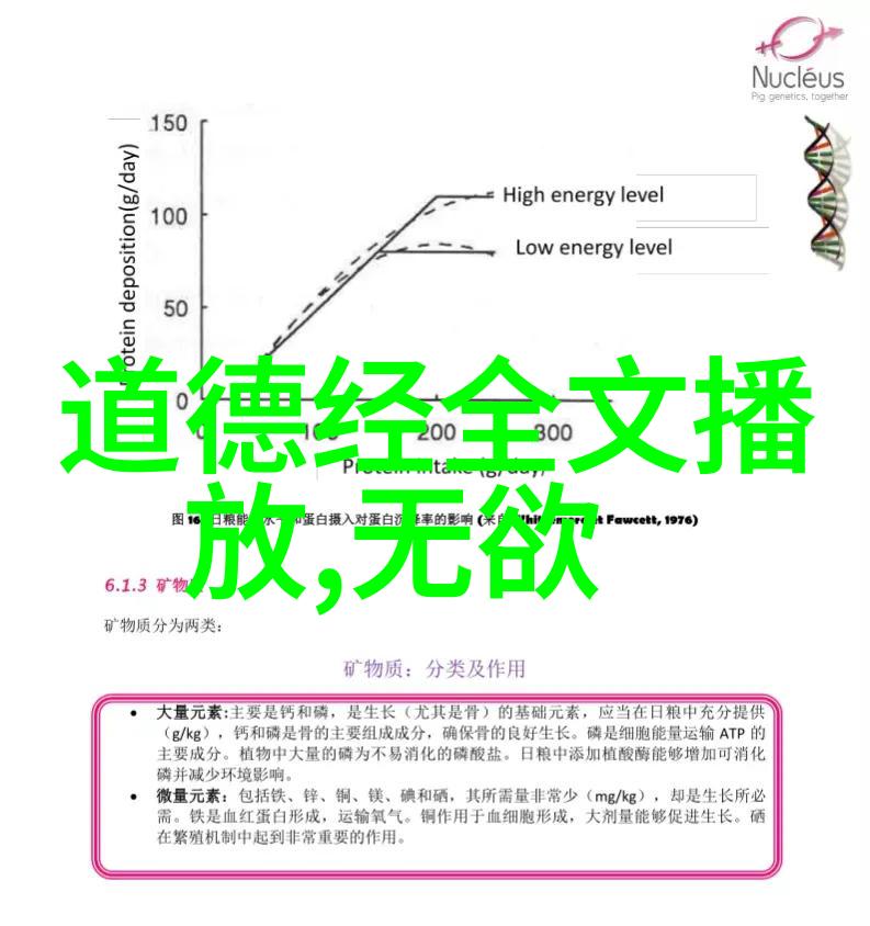 眼睛里的风采解析出道弟子的视觉魅力