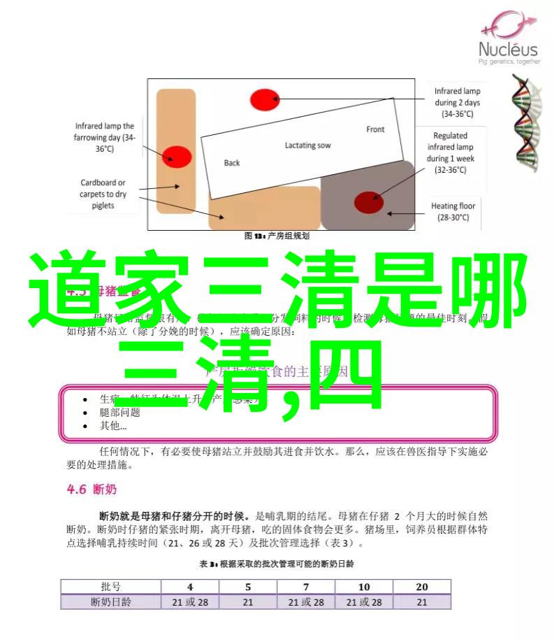 当今世界实践無為之道的难度又是什么