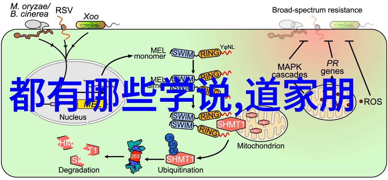 悟在天成又是何物