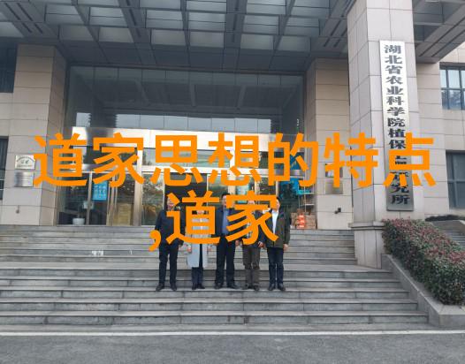 老子哲学中的无为之道与实际生活的应用实例探究深入理解无为而治在现代社会中的价值与意义