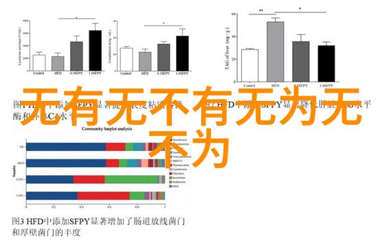 道德经全文注音版83页太白庙中的道德探索者