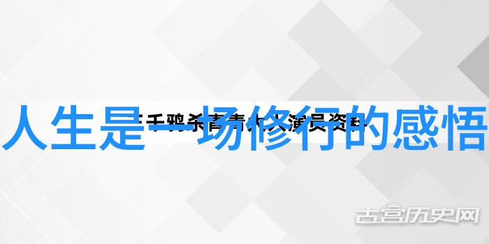 心无为而行无不为解读生活的艺术与智慧