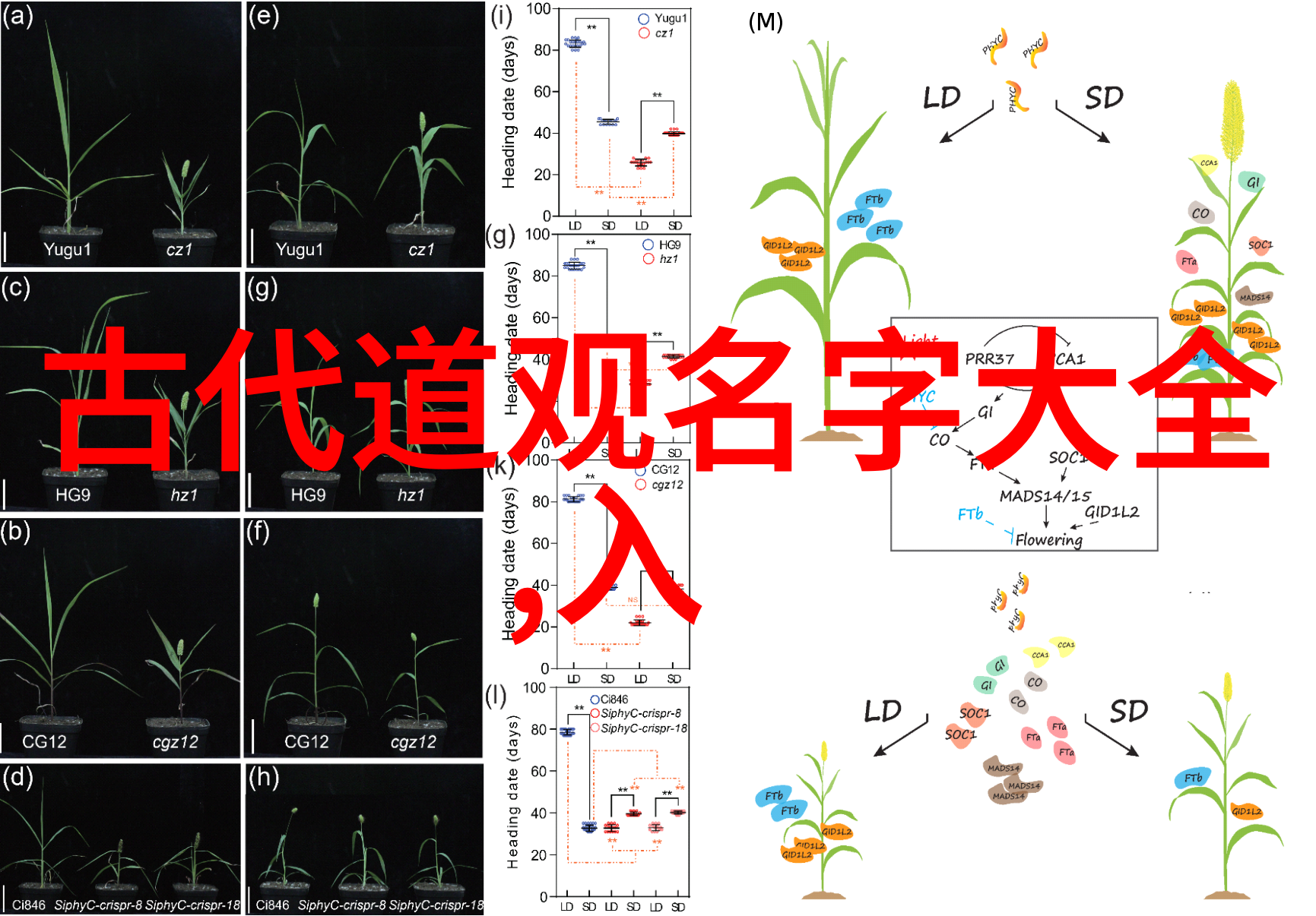 科技发展中寻找平衡以道物有其终为例