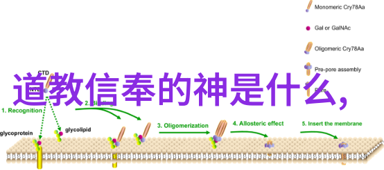 日式甜点艺术家谷泽惠理香的巧克力梦想之旅