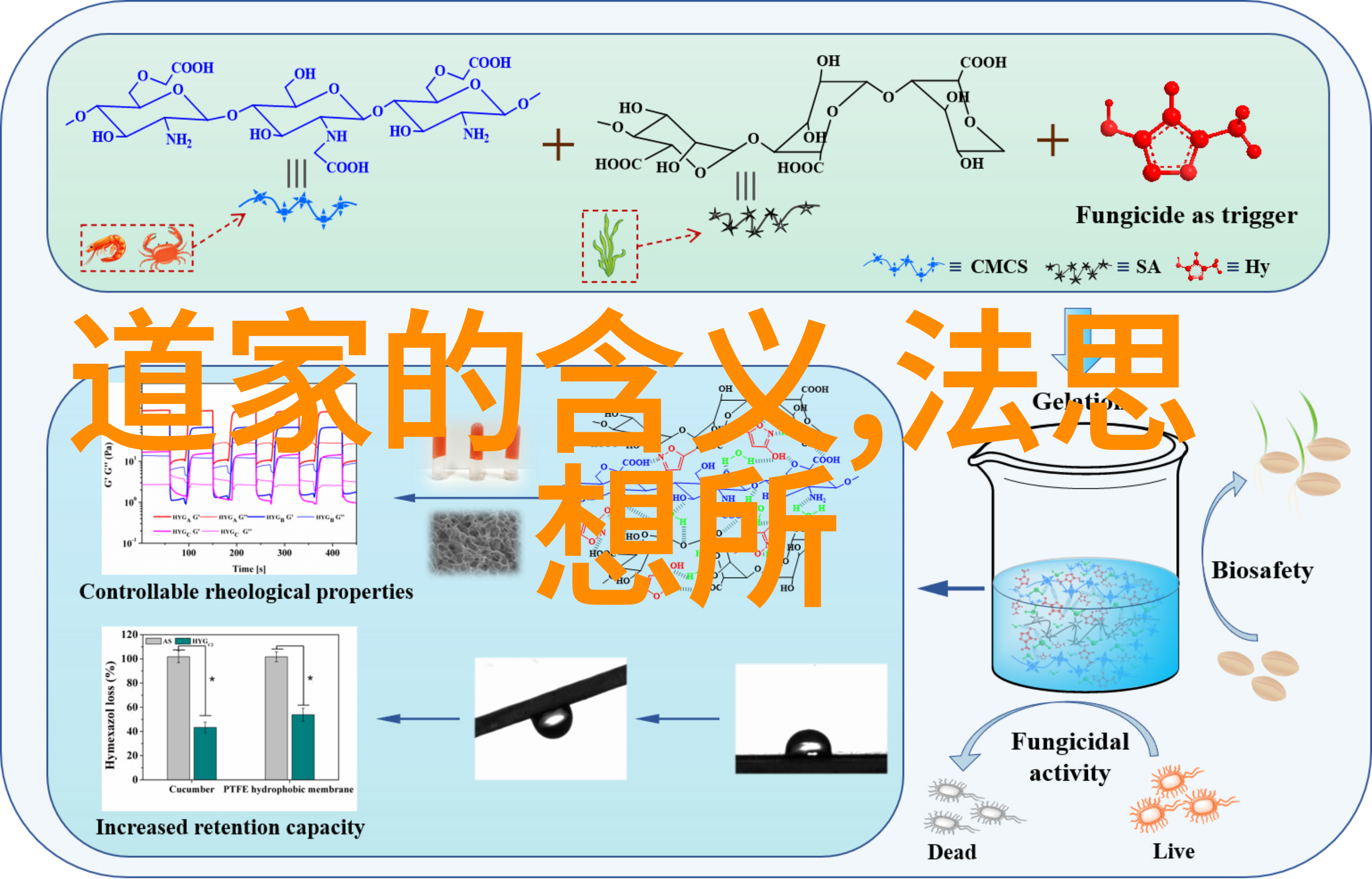 无为与有为的辩证法探究