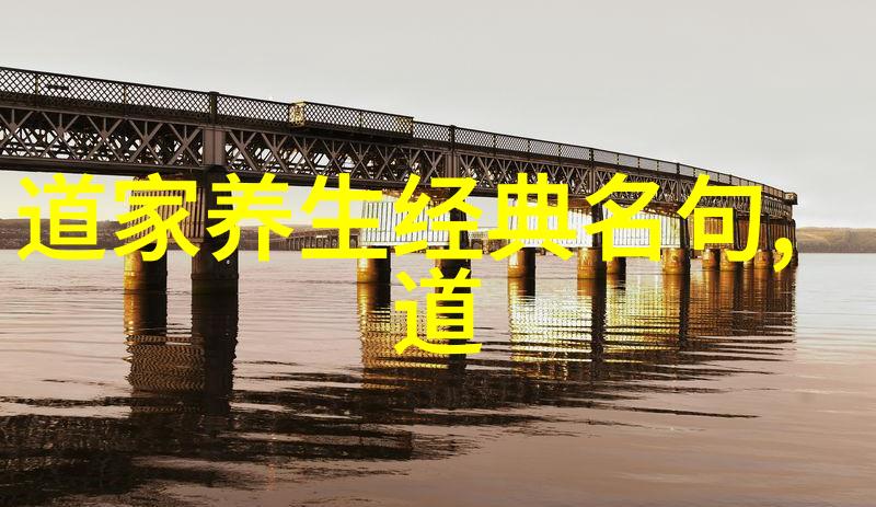 中国近代道家代表人物我国古老文化的智者们探索他们的智慧与影响力