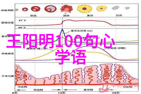 深藏在心尖的清新篇章